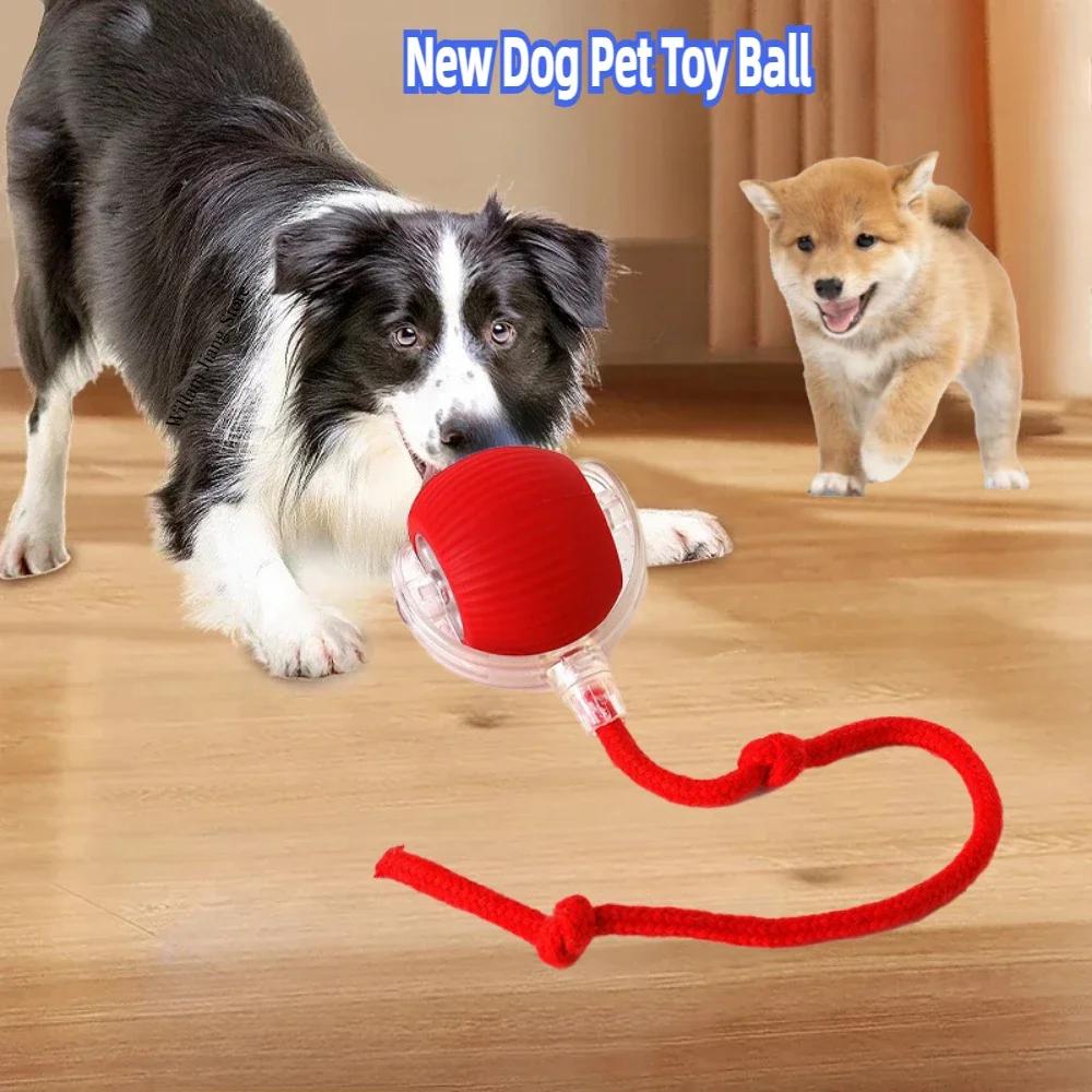 Горячие продажи электрических игрушек для собак, игрушек для кошек, интерактивных аксессуаров для кошек, собак, товаров и принадлежностей для домашних животных, игрушек, игрушек, игрушек, игрушек, игрушек для кошек ...